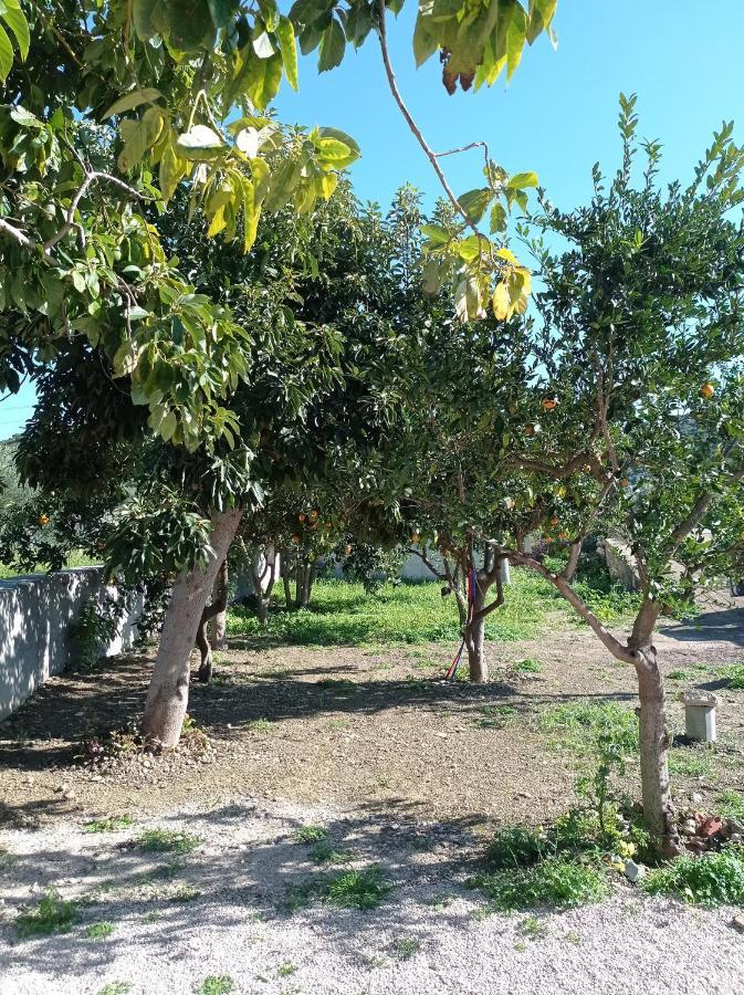 Avocado House Villa Finikounta Bagian luar foto
