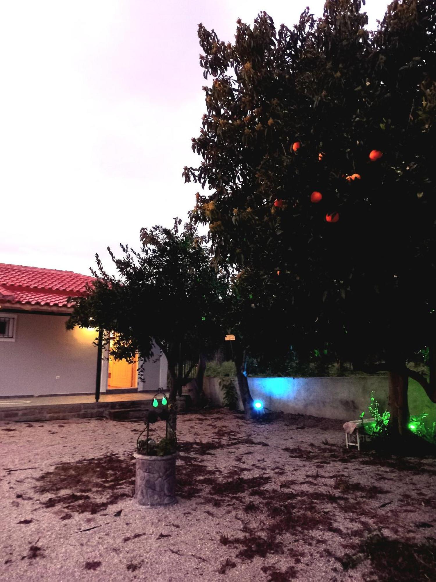 Avocado House Villa Finikounta Bagian luar foto