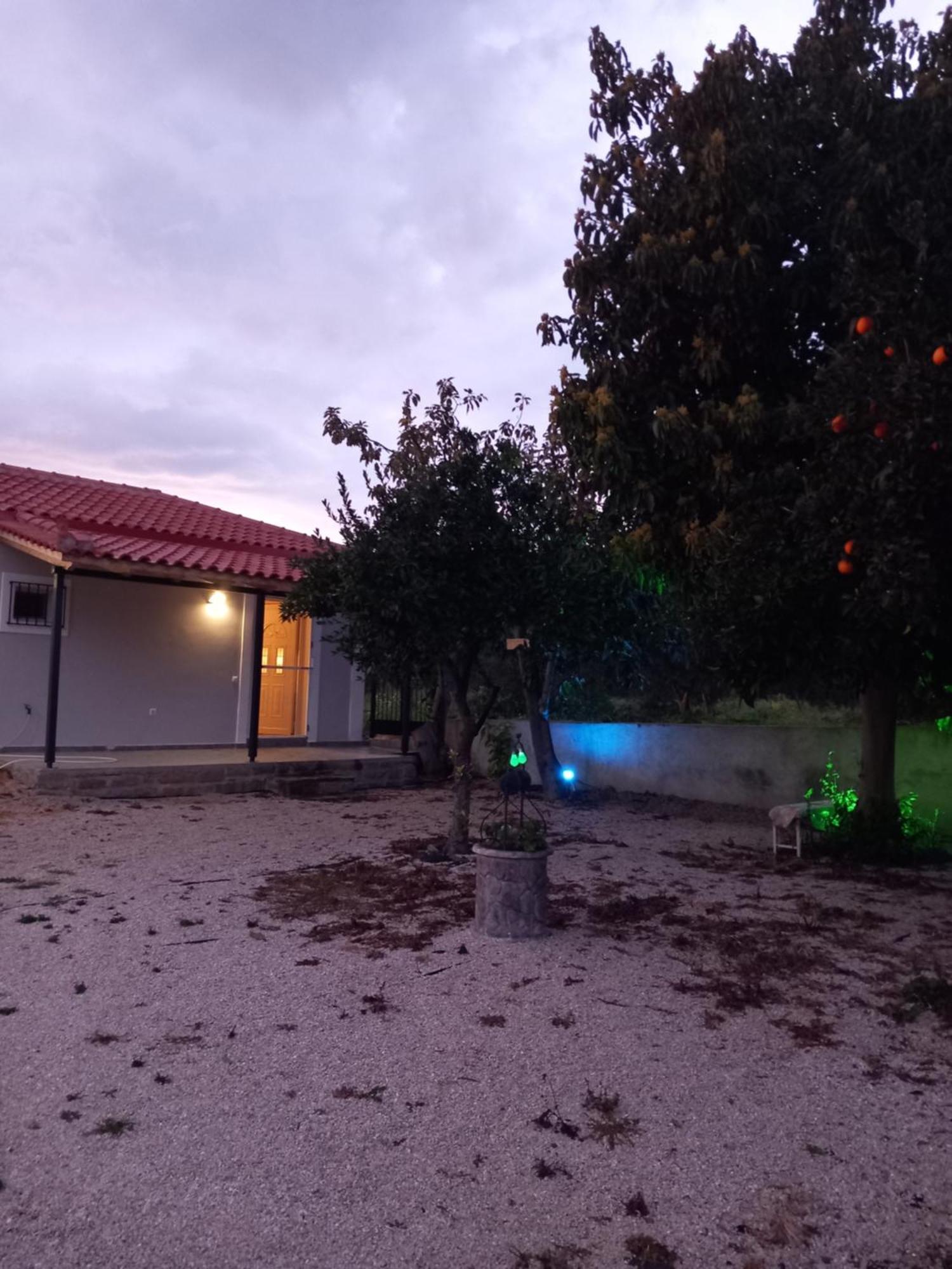 Avocado House Villa Finikounta Bagian luar foto